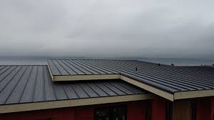 Best Commercial Roofing Services  in Ridgely, TN